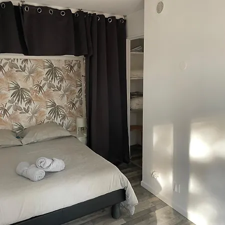 La Cardonille Avec Patio * Montpellier